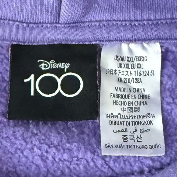 Disney 100 Years of Wonder Hoodie - Picture 6 of 8